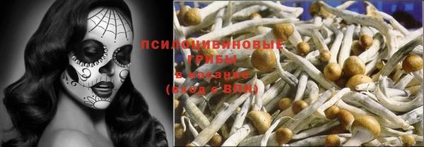 jwh Протвино