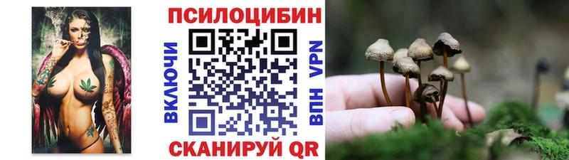 Псилоцибиновые грибы Psilocybine cubensis Углегорск